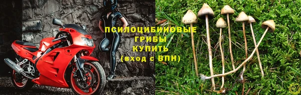 mix Абинск